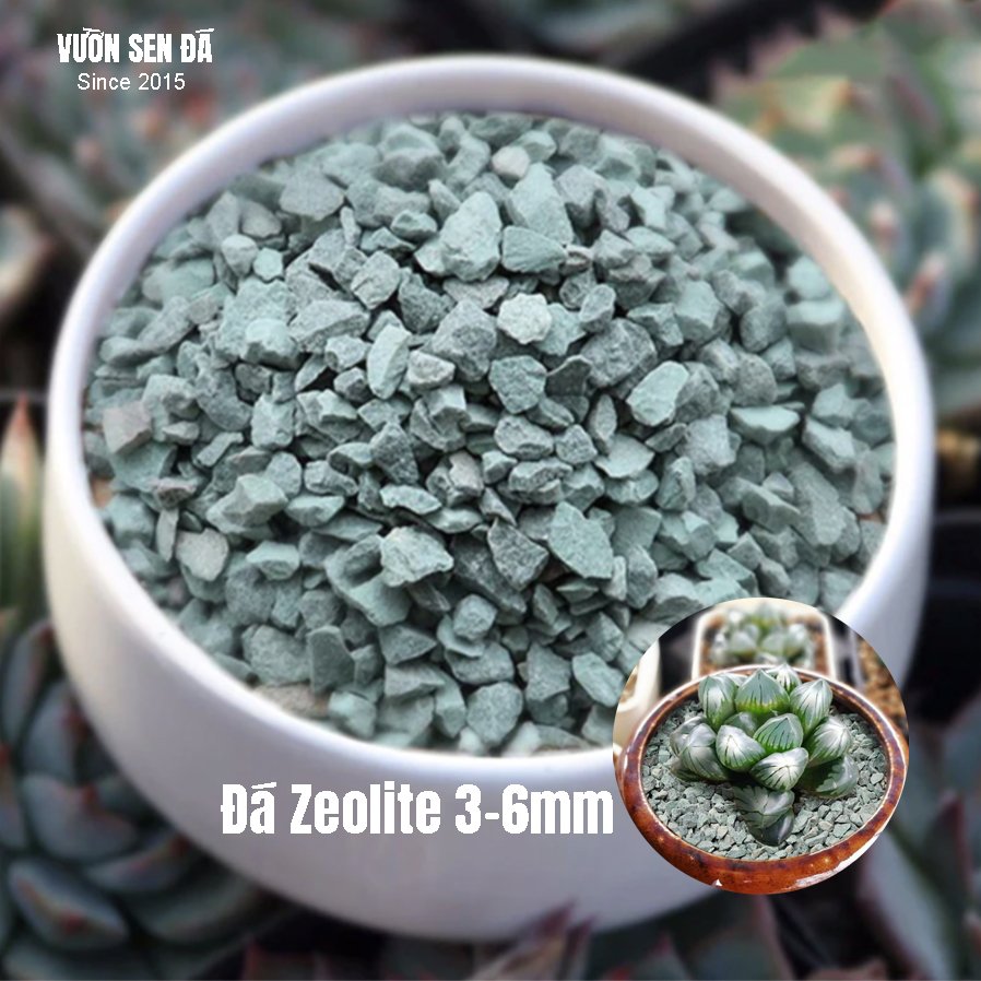 Đá Zeolite trồng sen đá (1kg)