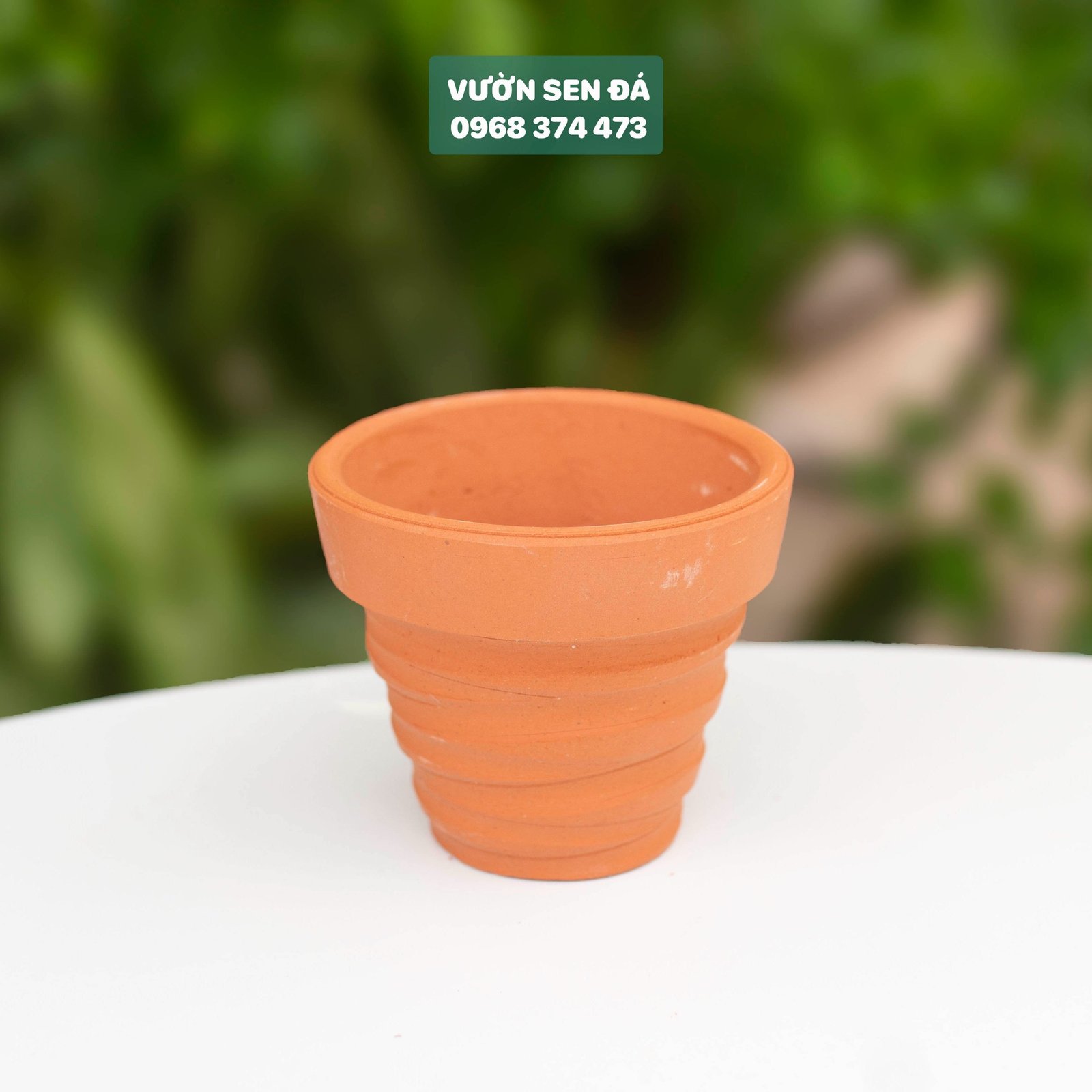 Chậu đất nung cắt rối 7x7cm 3