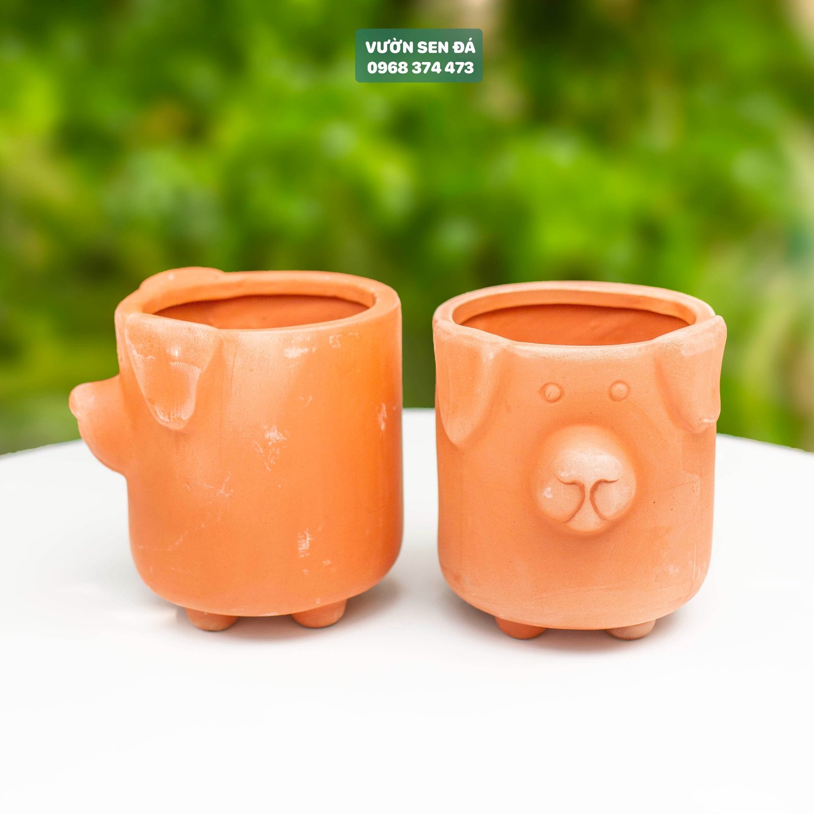 Chậu đất nung đỏ hình Chó 10x10cm 2
