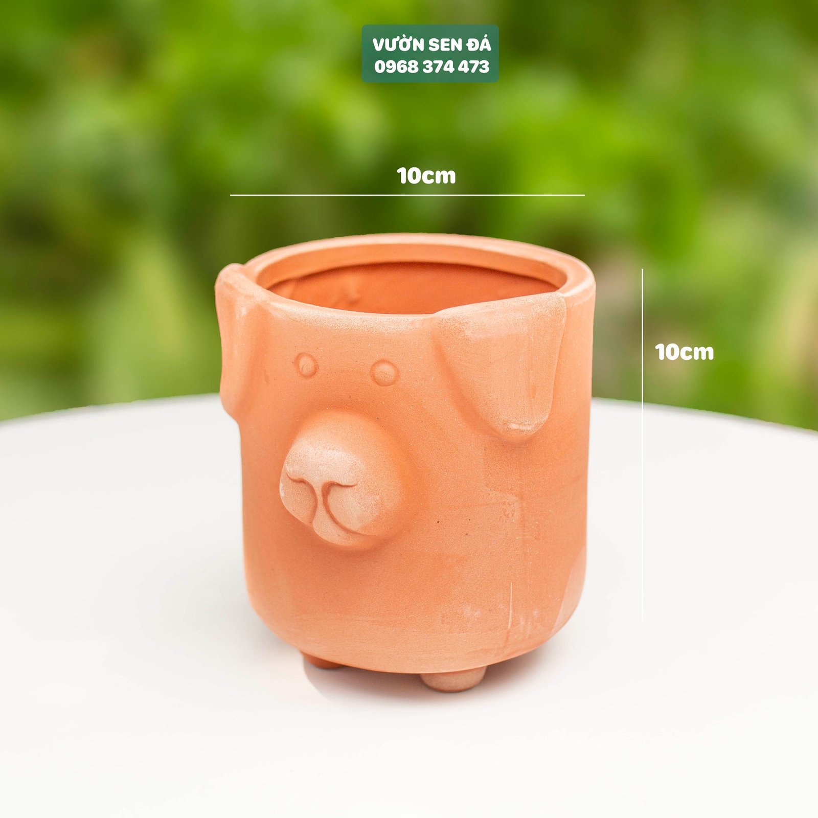 Chậu đất nung đỏ hình Chó 10x10cm 3