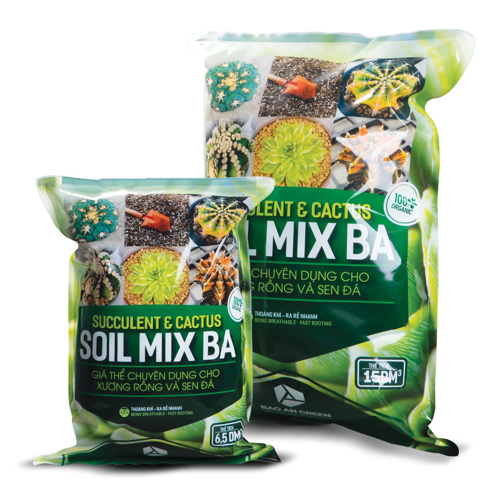 Soi mix - Đất trồng sen đá trộn sẵn