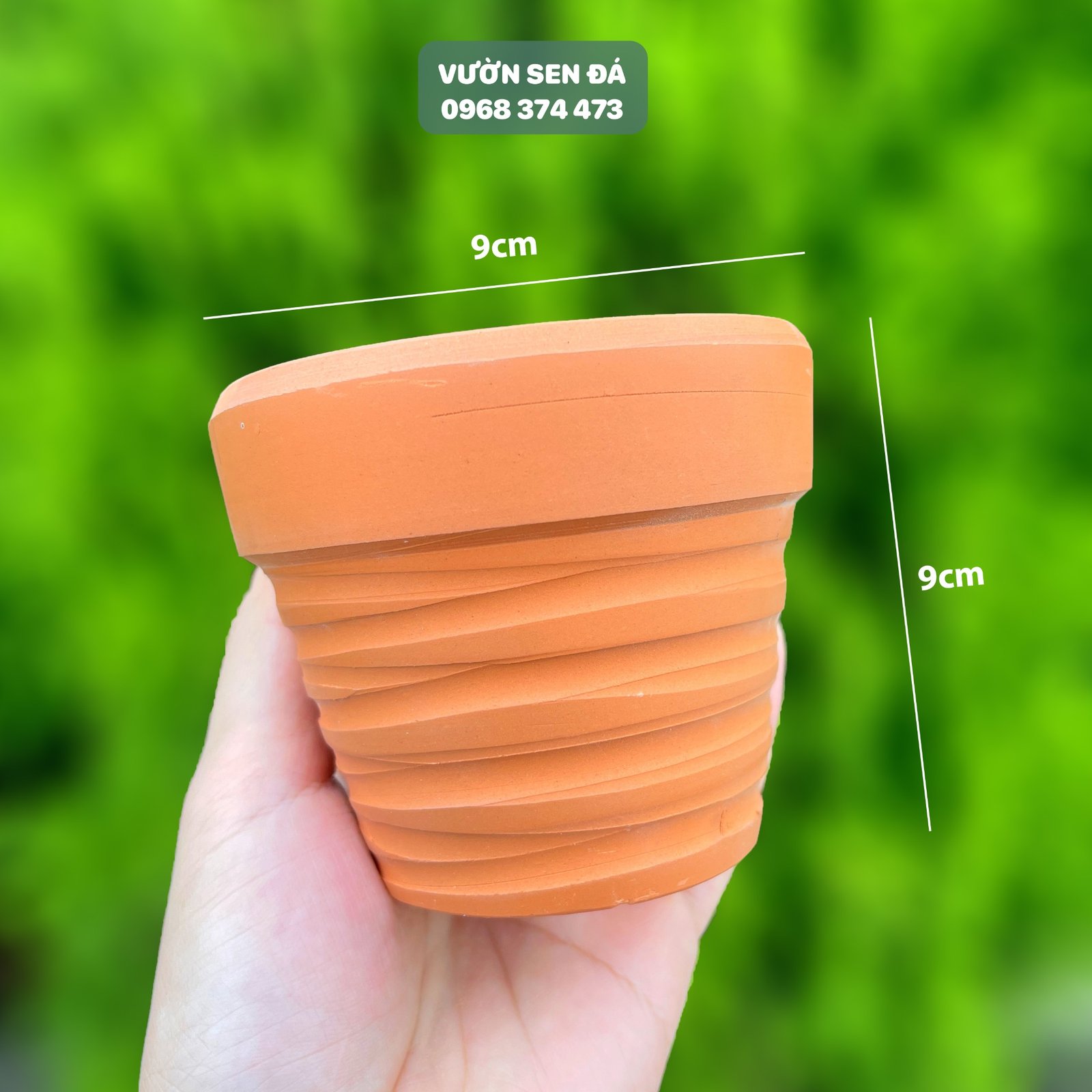Chậu đất nung đỏ cắt rối