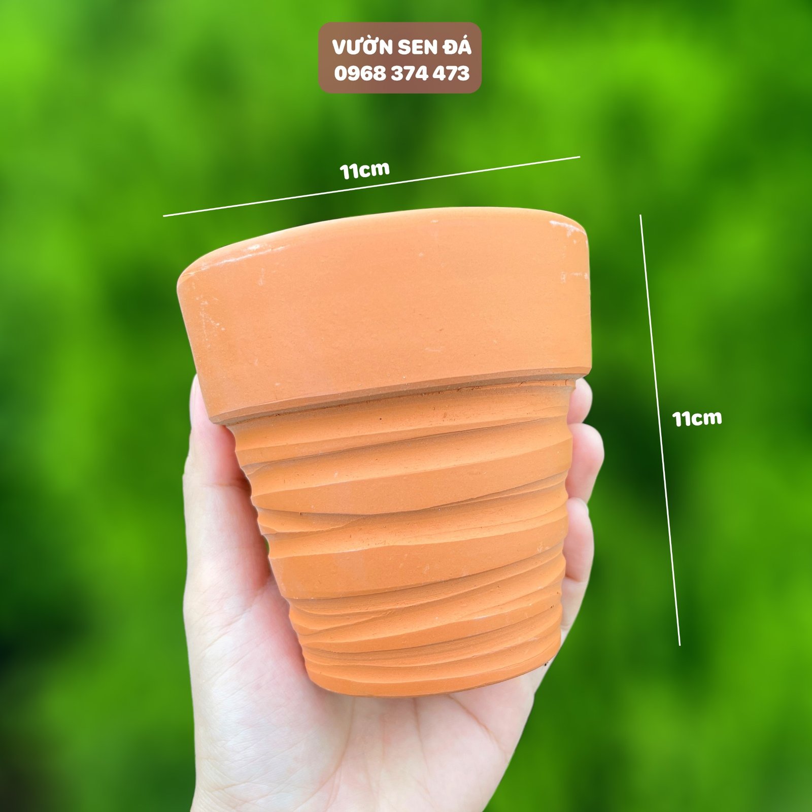 Chậu đất nung đỏ cắt rối 2