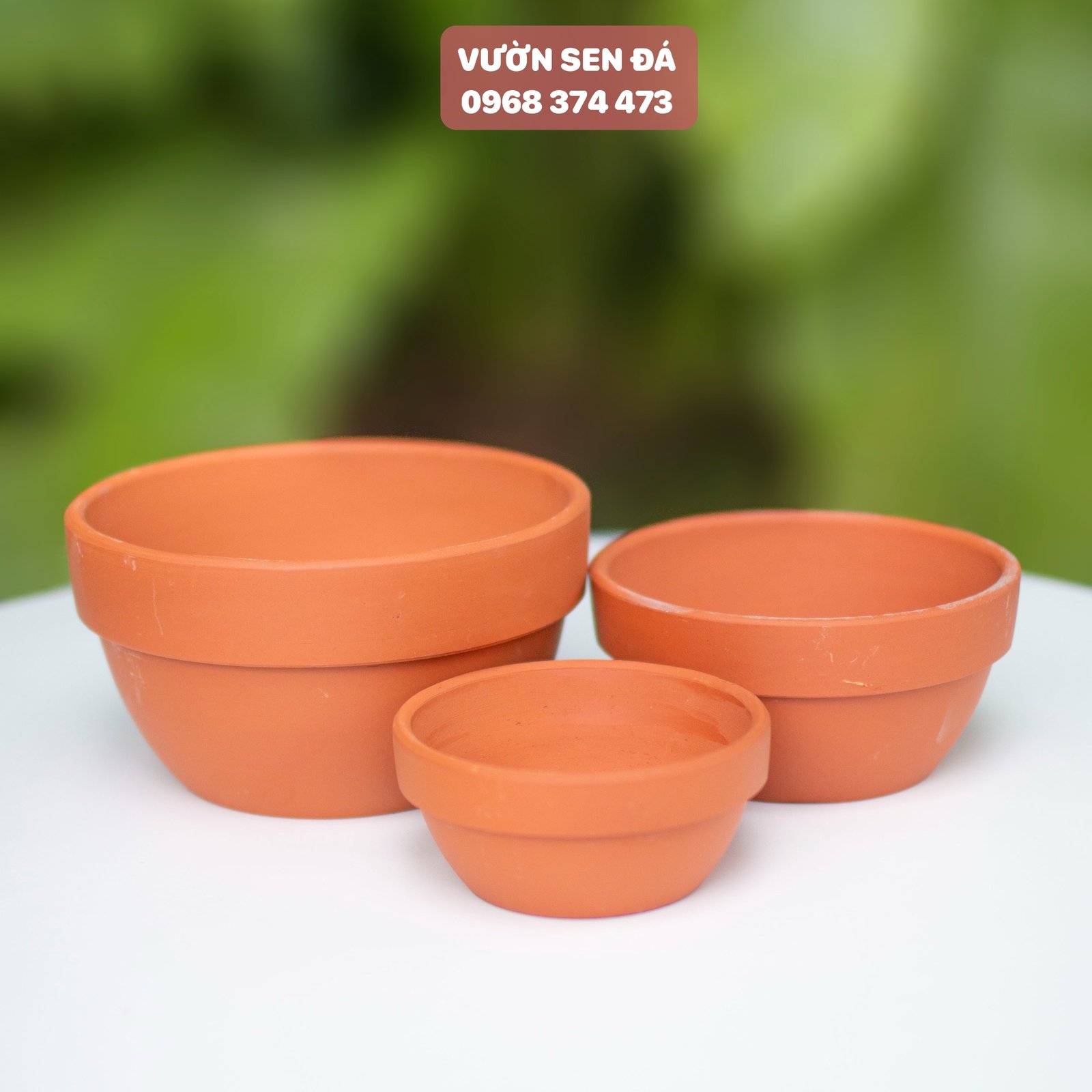 Chậu đất nung hình bầu - Chậu trồng sen đá 3