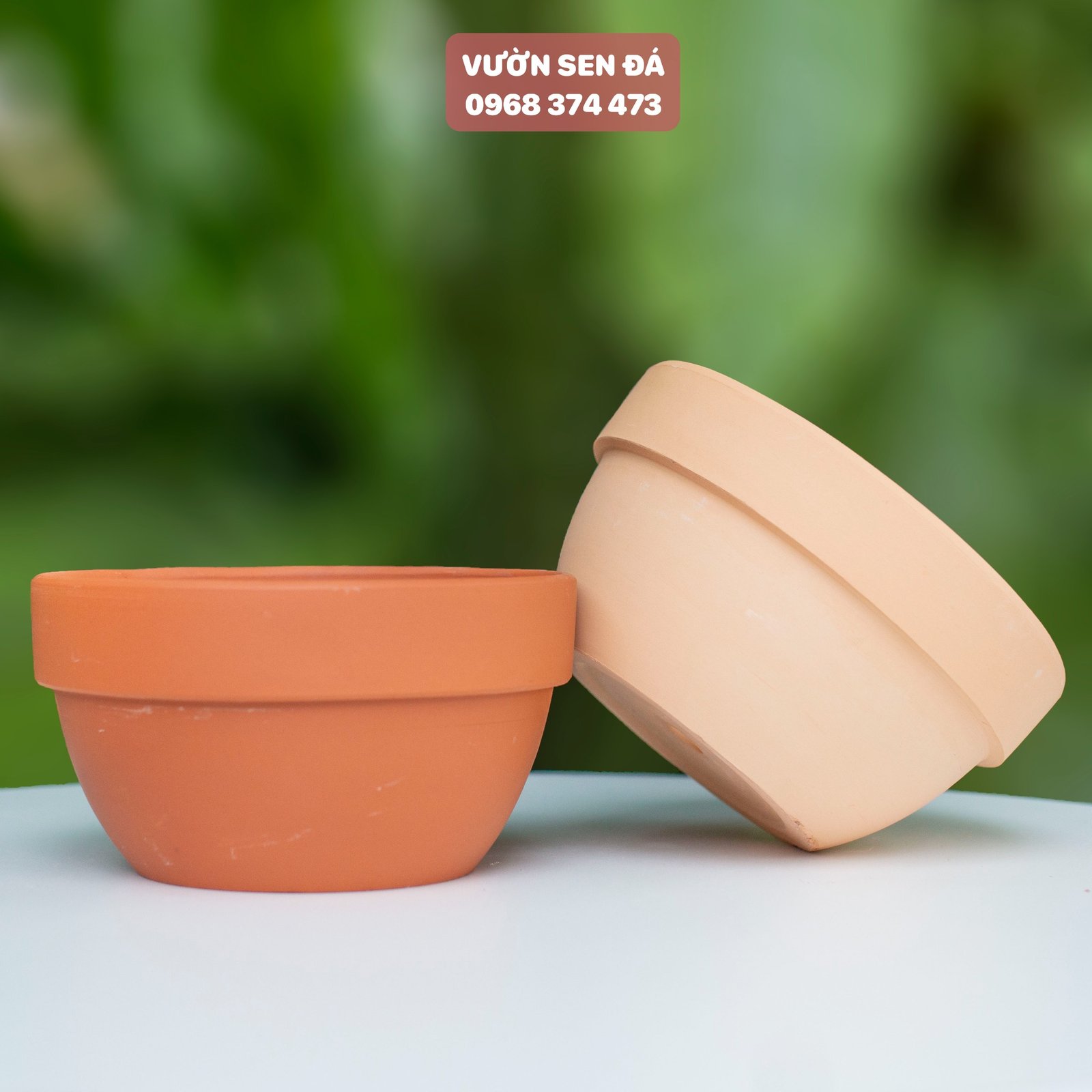 Chậu đất nung hình bầu - Chậu trồng sen đá 2