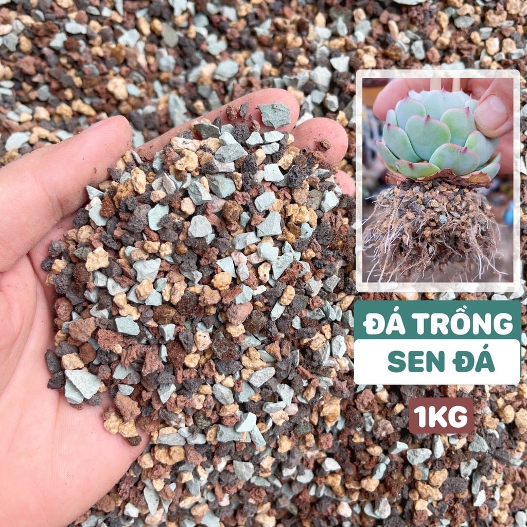 Đá cầu vồng 3-6mm (1kg) 2