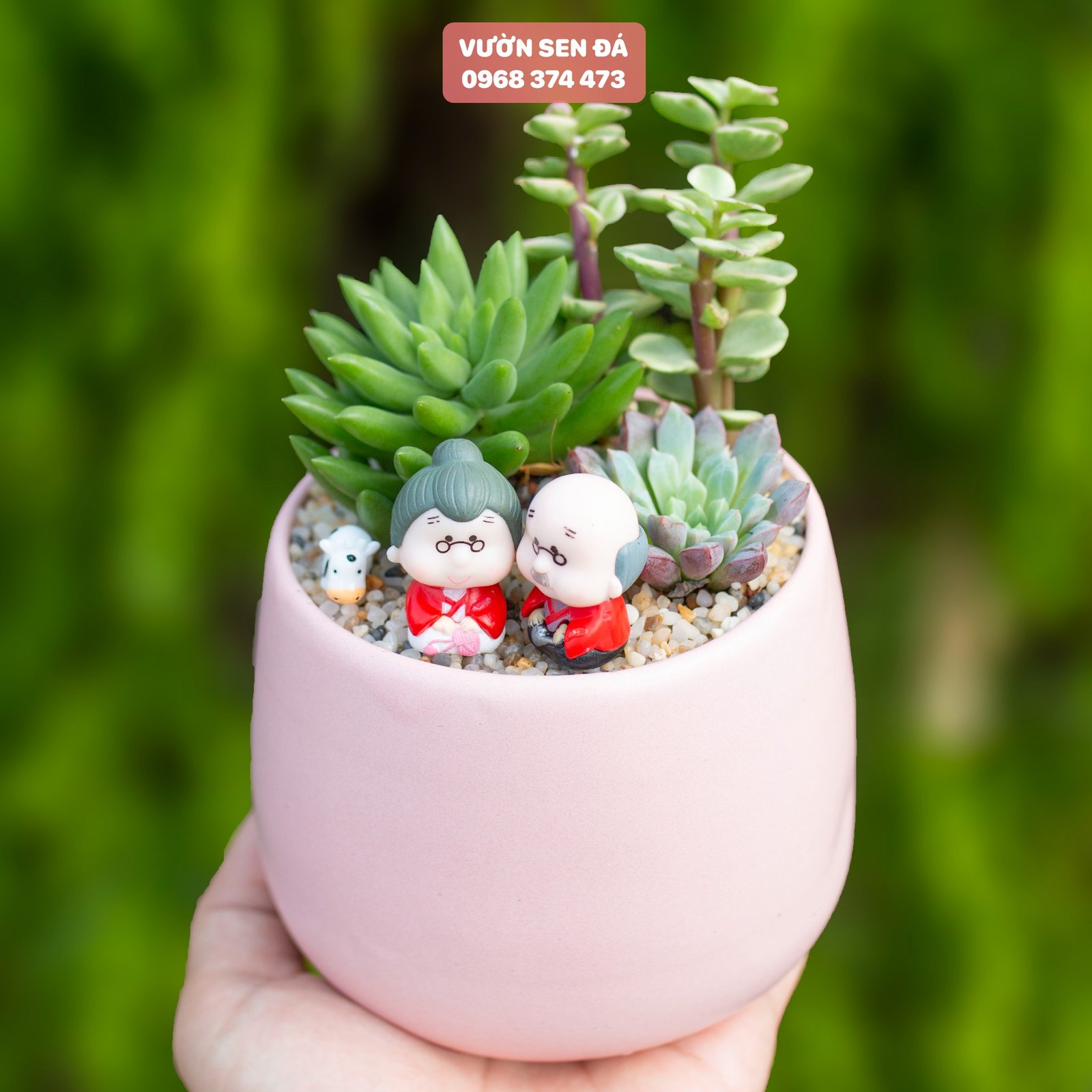 Tiểu cảnh sen đá 10cm - Ông bà lão ngồi