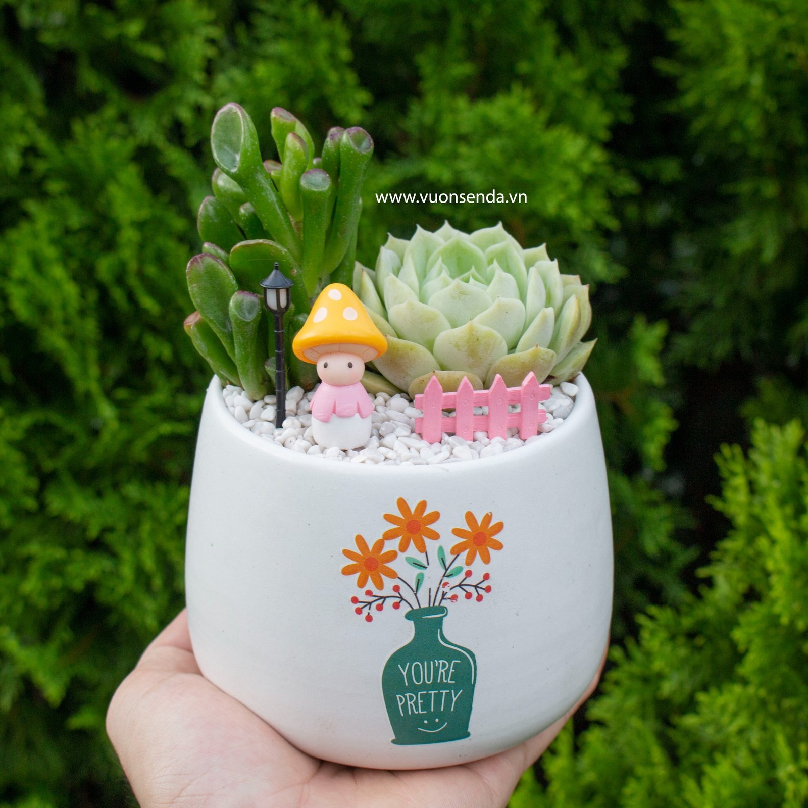 Tiểu cảnh chậu bầu - Cô bé nấm