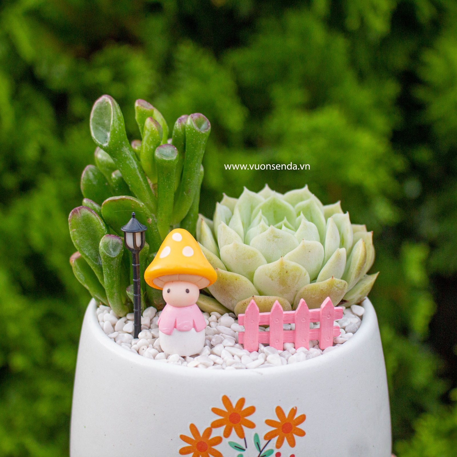 Tiểu cảnh chậu bầu - Cô bé nấm 2