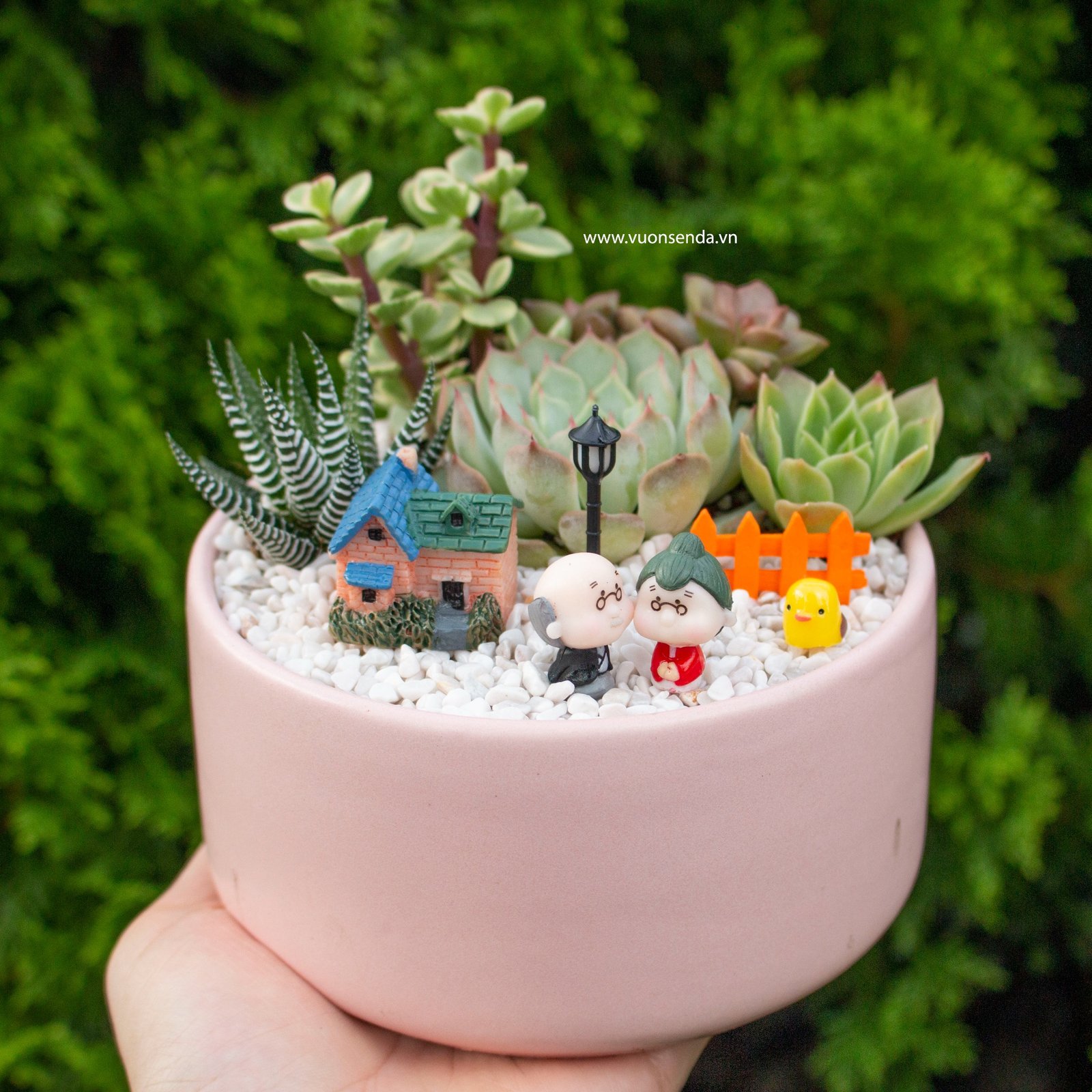 Tiểu cảnh chậu trụ thấp 12cm