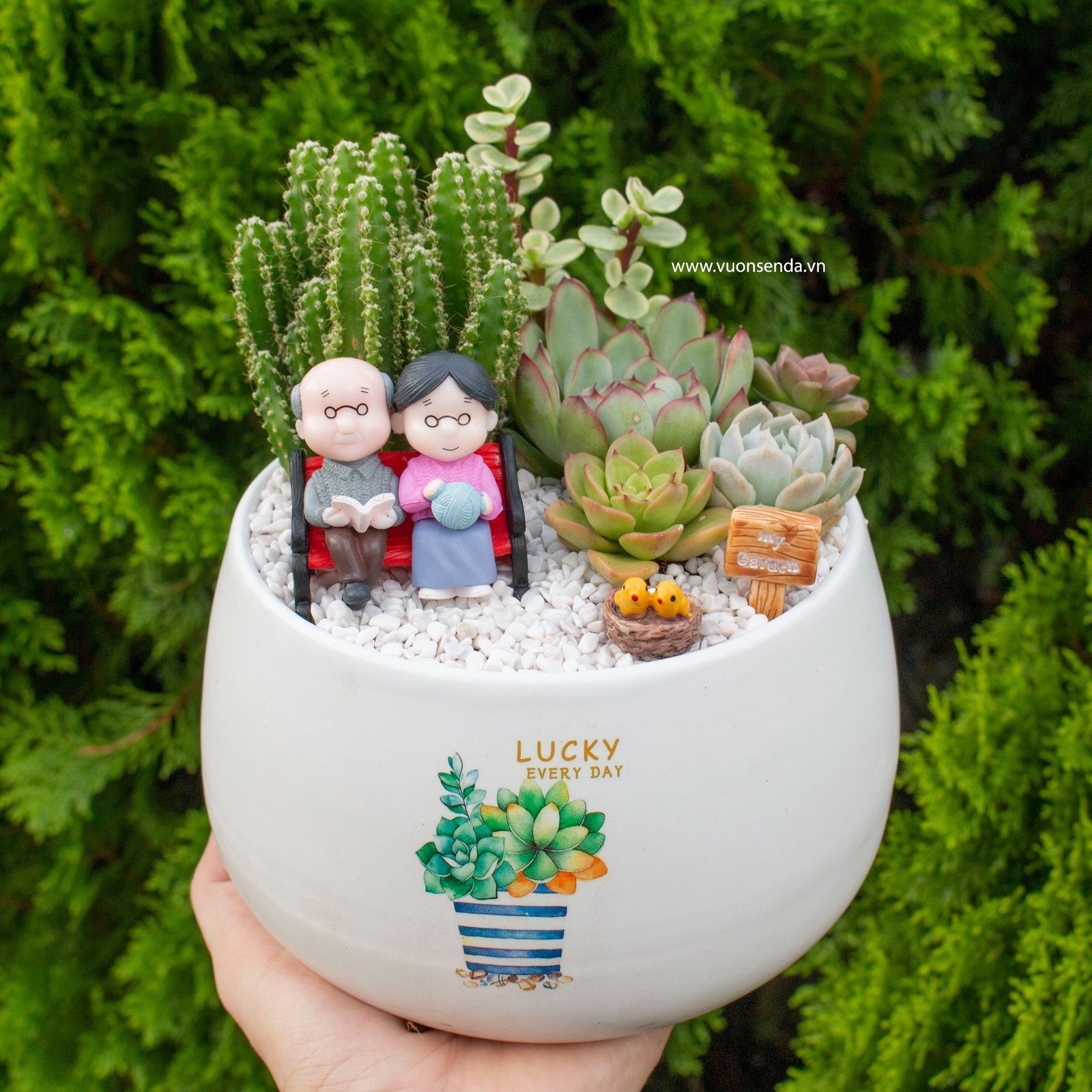 Tiểu cảnh chậu hạt dẻ 14cm