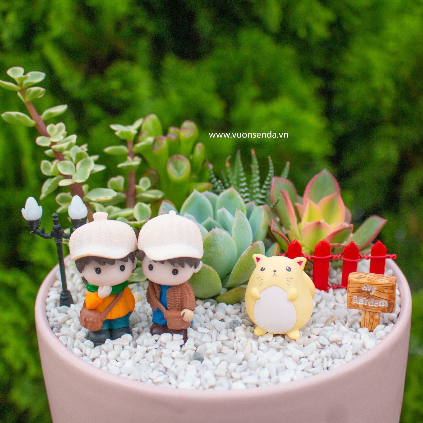 Tiểu cảnh chậu trụ thấp hồng 16cm 2