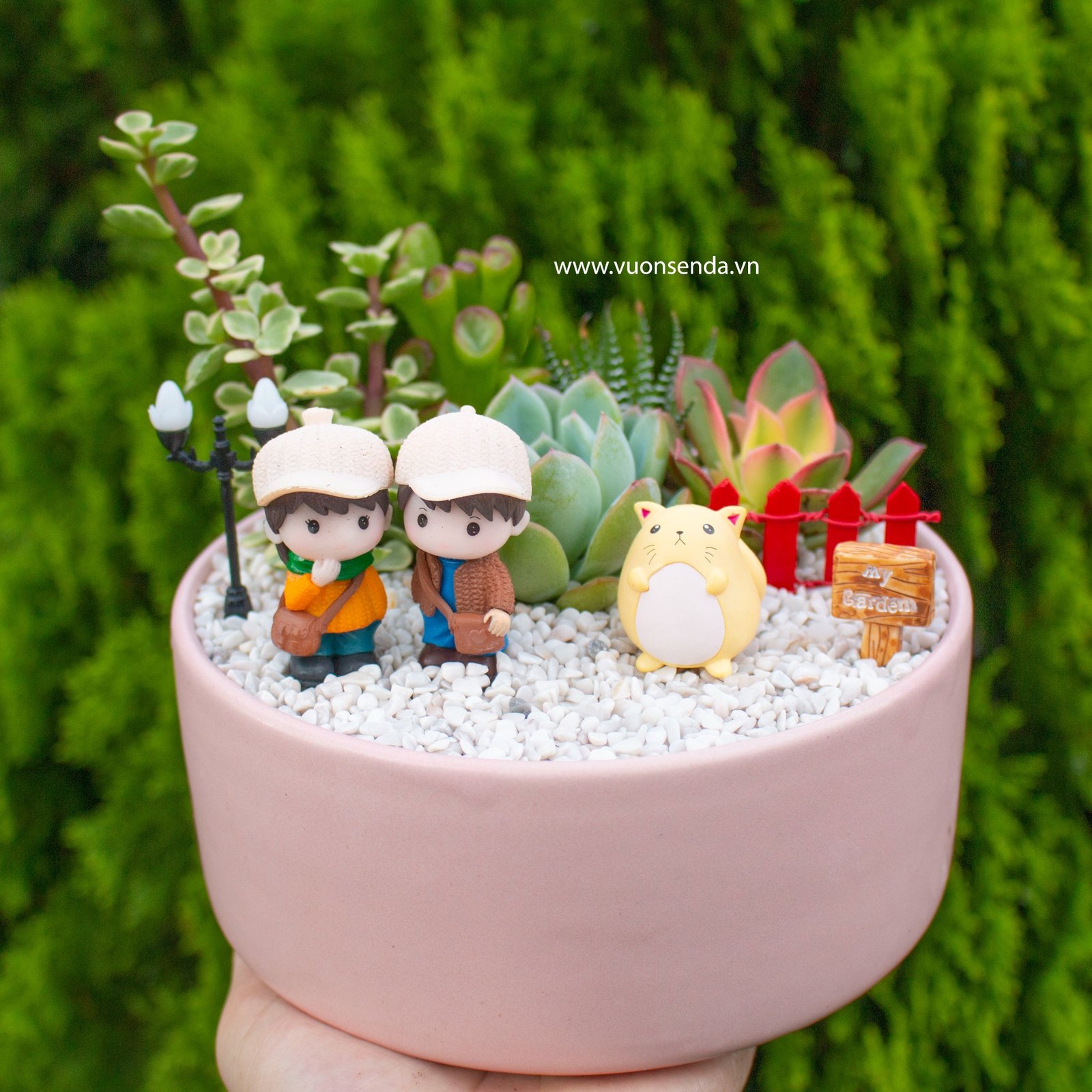 Tiểu cảnh chậu trụ thấp hồng 16cm