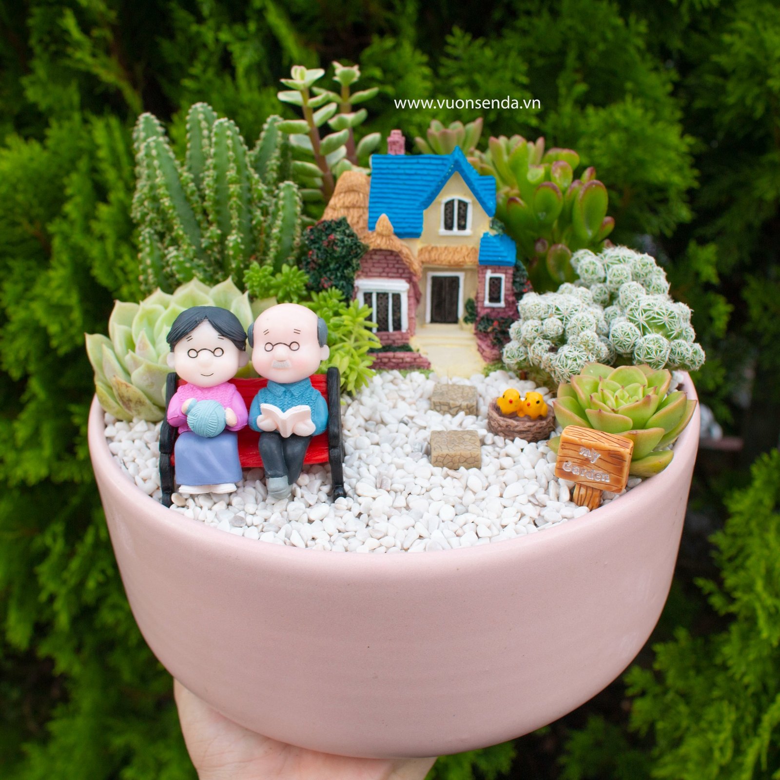 Tiểu cảnh chậu trụ thấp hồng 19cm