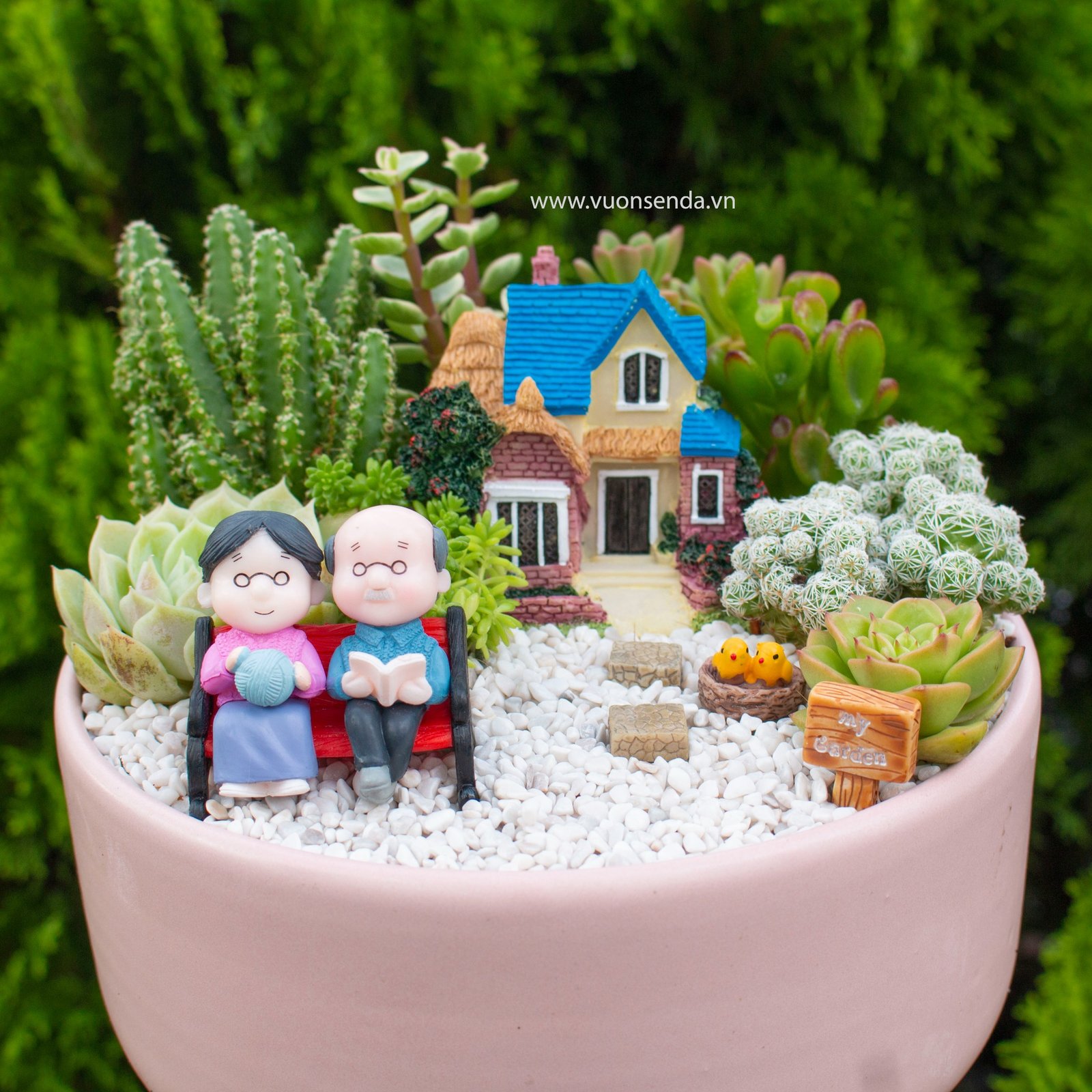 Tiểu cảnh chậu trụ thấp hồng 19cm 2