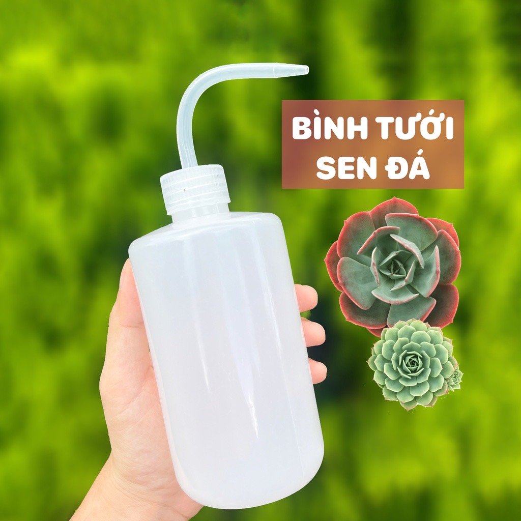 Bình tưới vòi cong 500ml