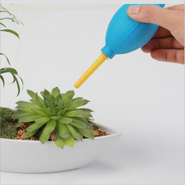 Ống bóp thỏi bụi