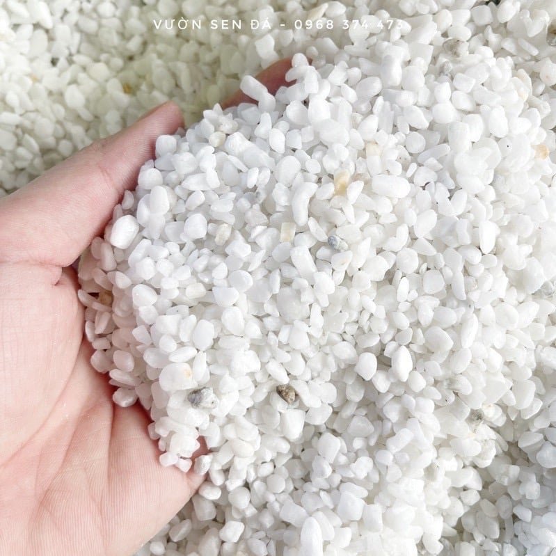 Sỏi trắng 5-10mm (1kg)