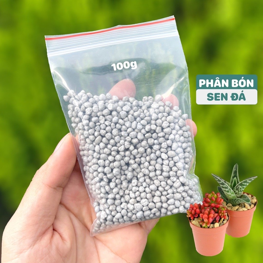 Phân tan chậm (100g)