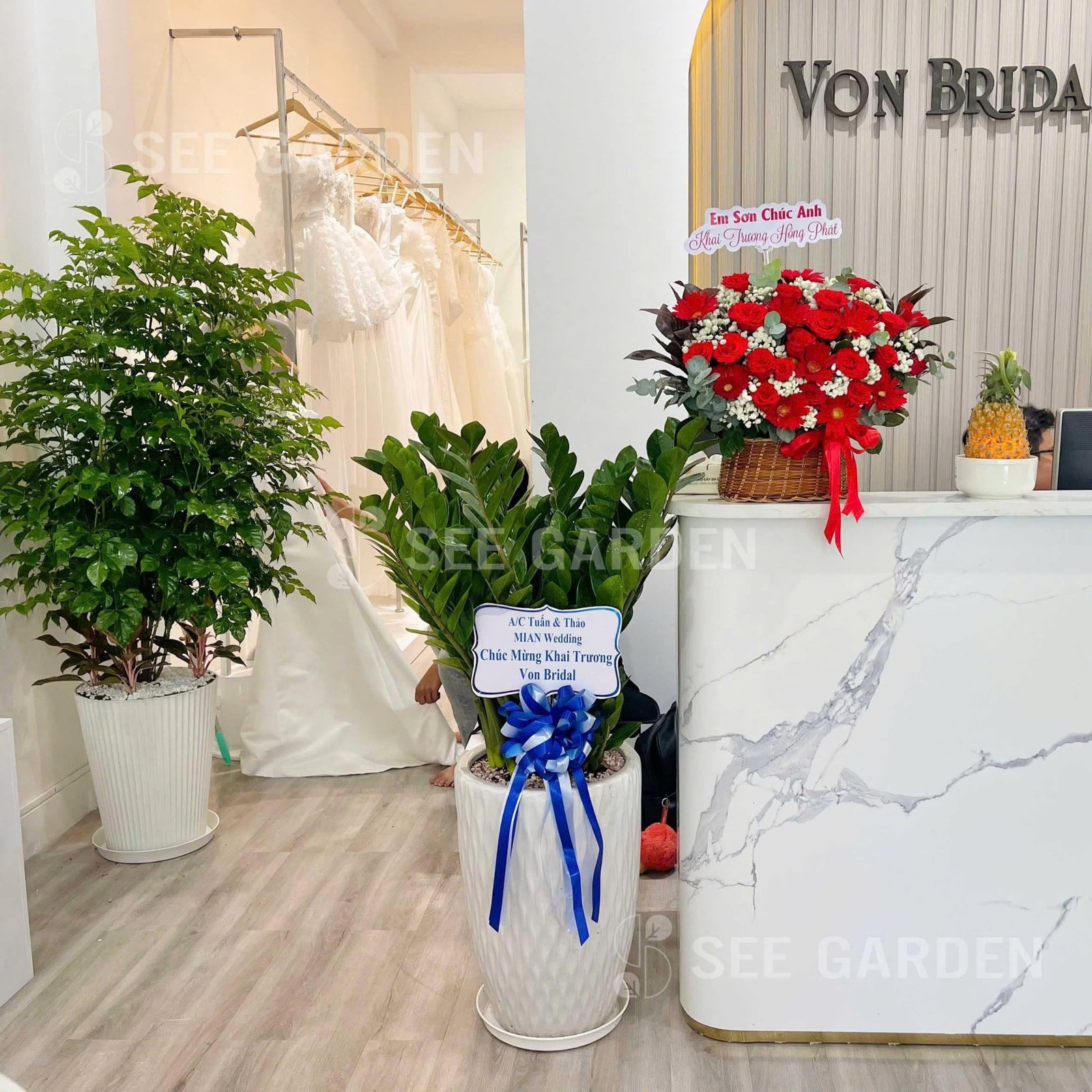 Kim Tiền Size L Khai Trương