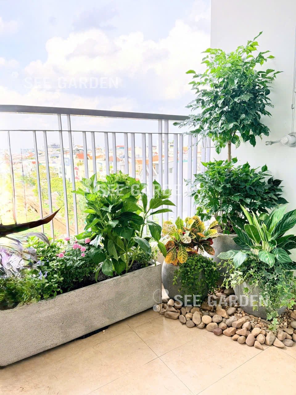 [Balcony] Phù hợp ban công hướng đông, trồng hoa, diện tích 4m2 2