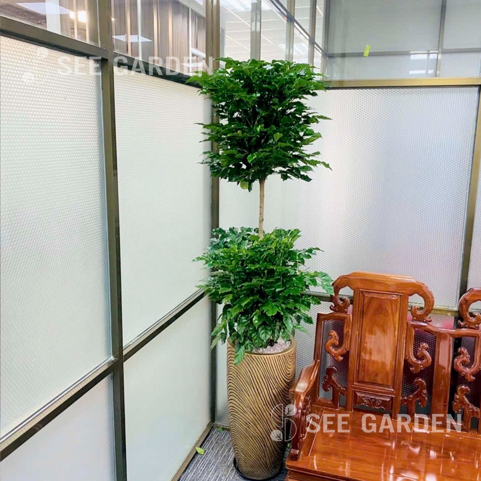 Hạnh Phúc 2 Tầng Size Trung 170cm