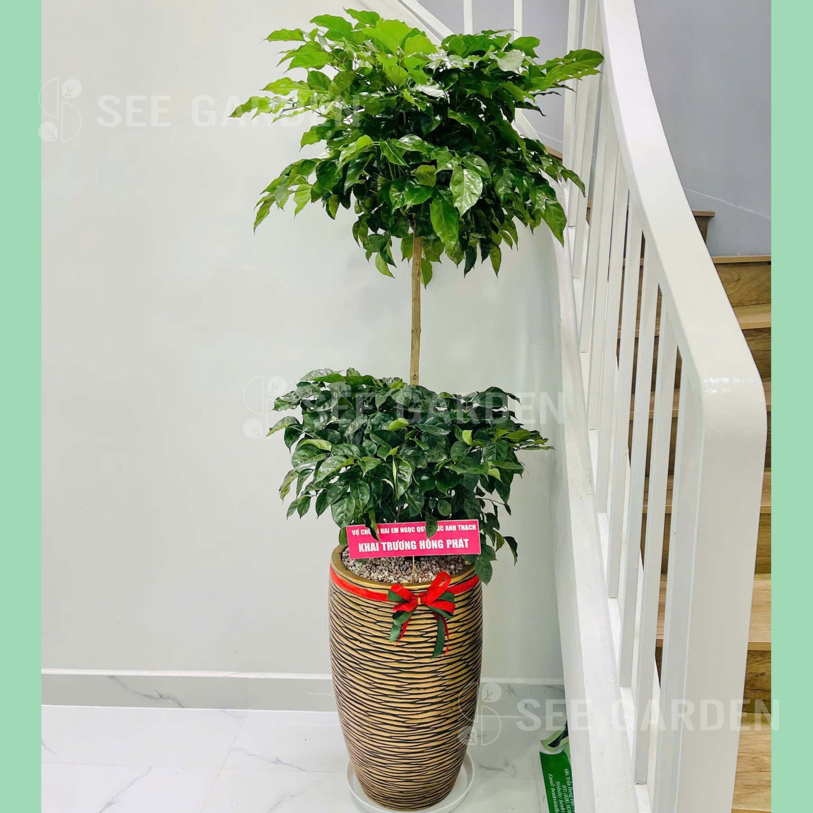 Hạnh Phúc 2 Tầng Size Trung 170cm 2