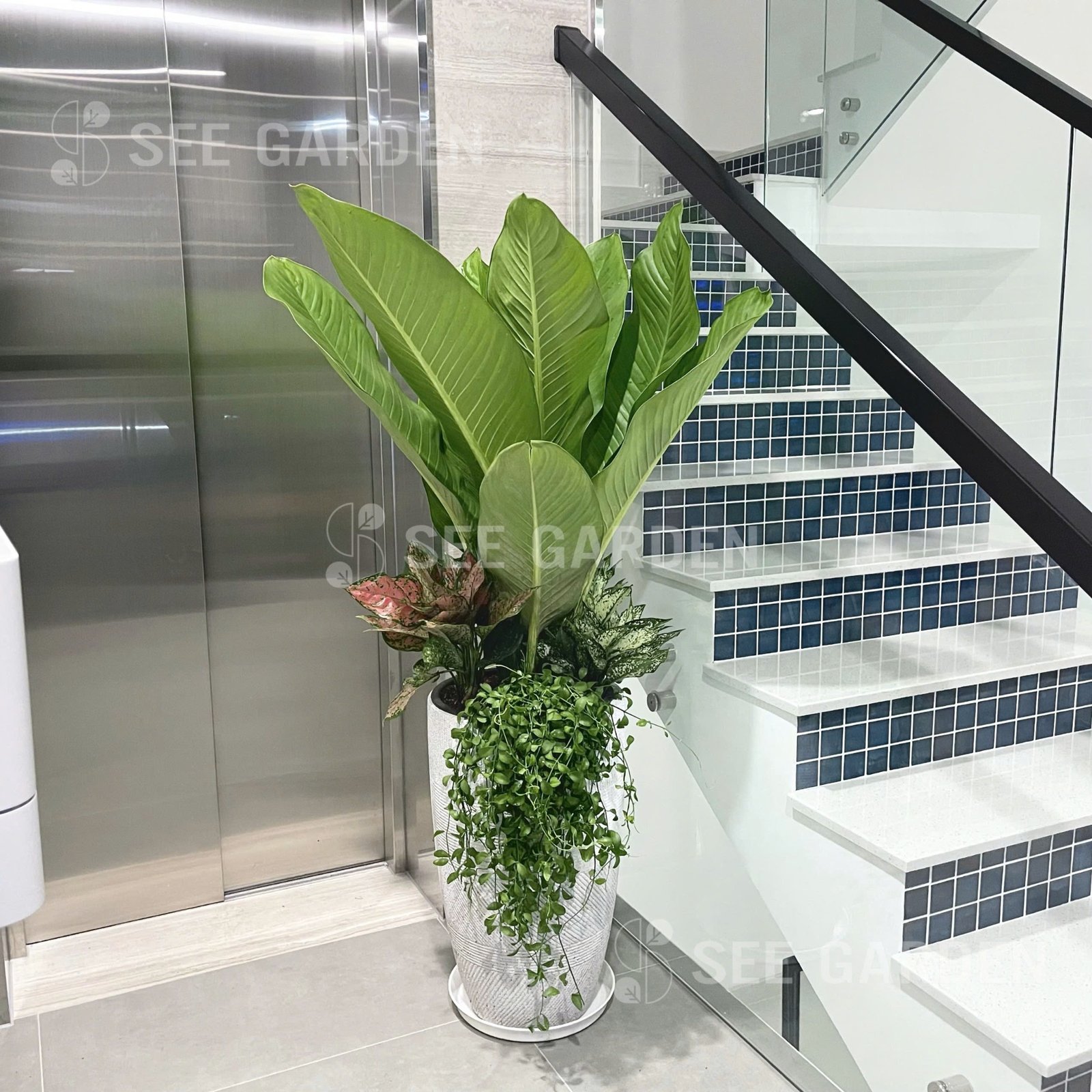 Đại Phú Mix Cây Nhỏ Chậu Composite D38xH85