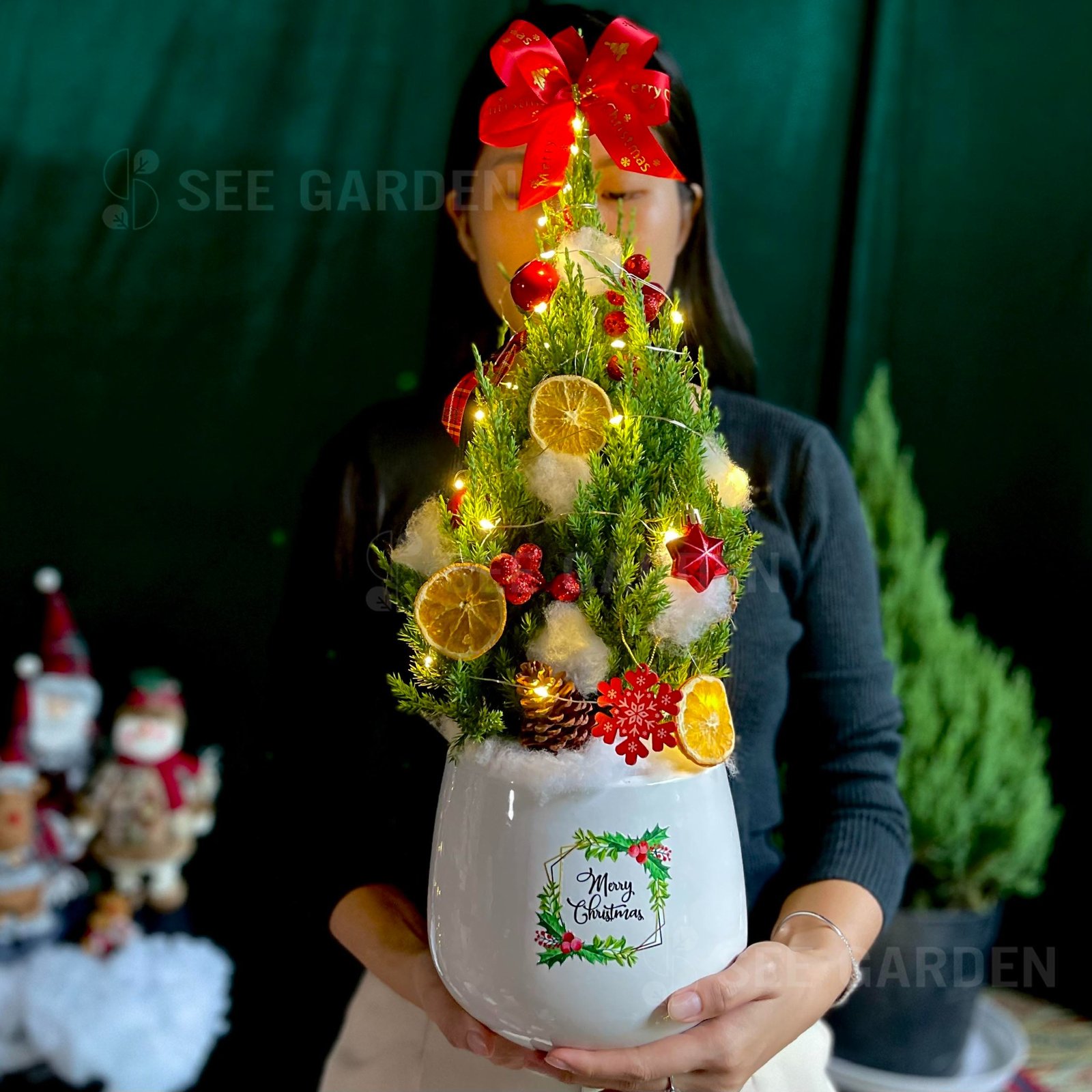 Set tùng vòng hoa cherry L22