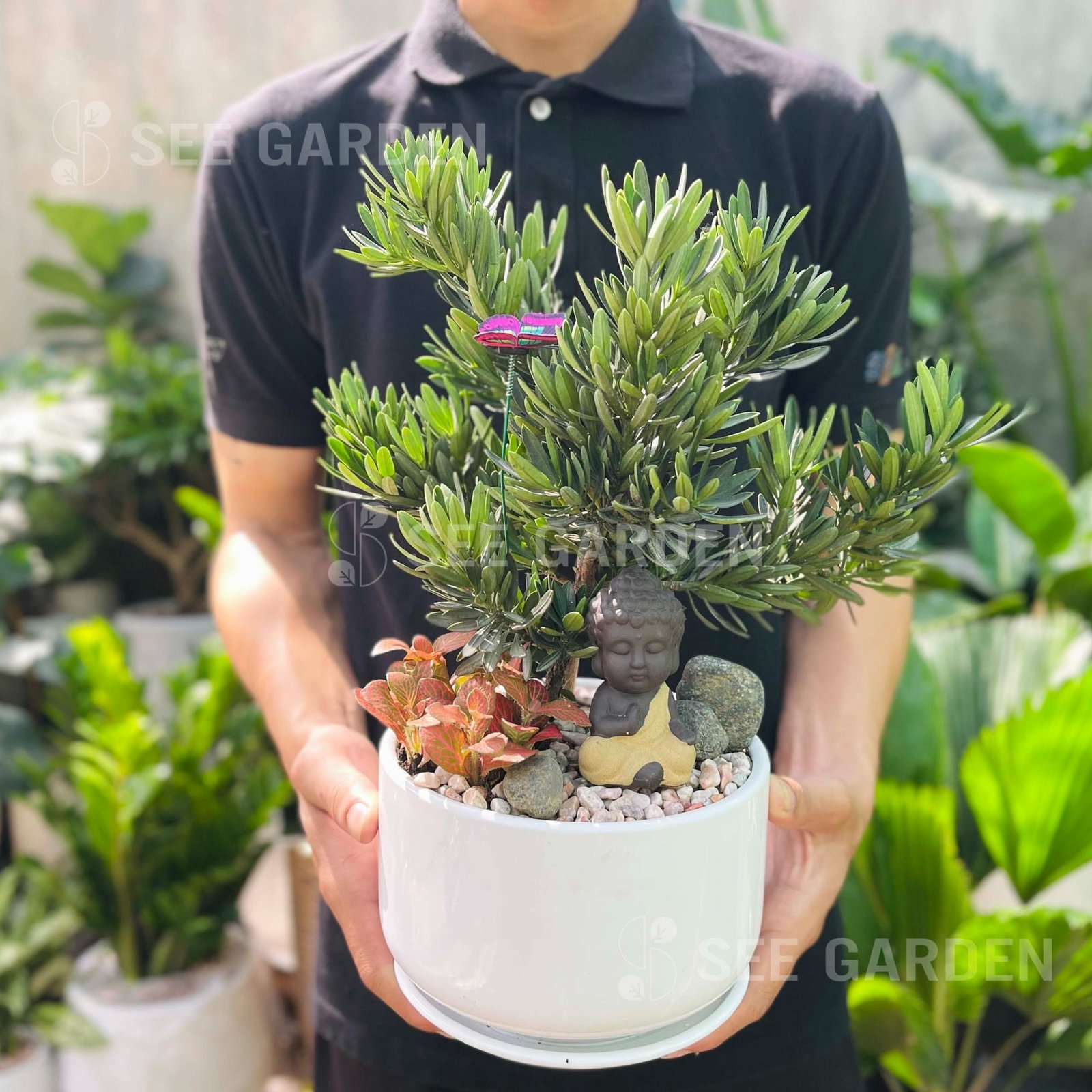 Tùng Kim Cương Mix May Mắn Tượng Phật Gốm