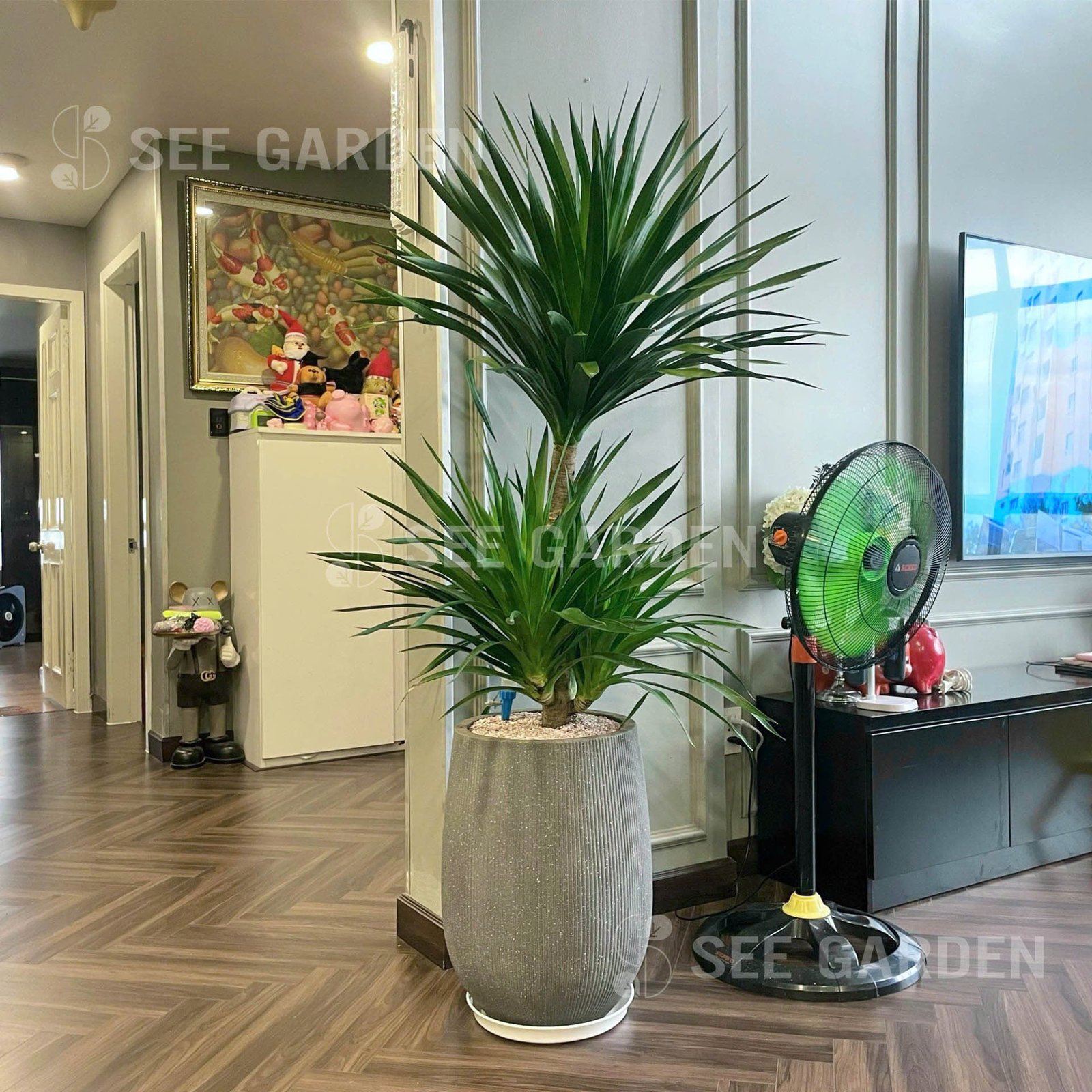 Phát Tài Núi Chậu Kẻ Dọc