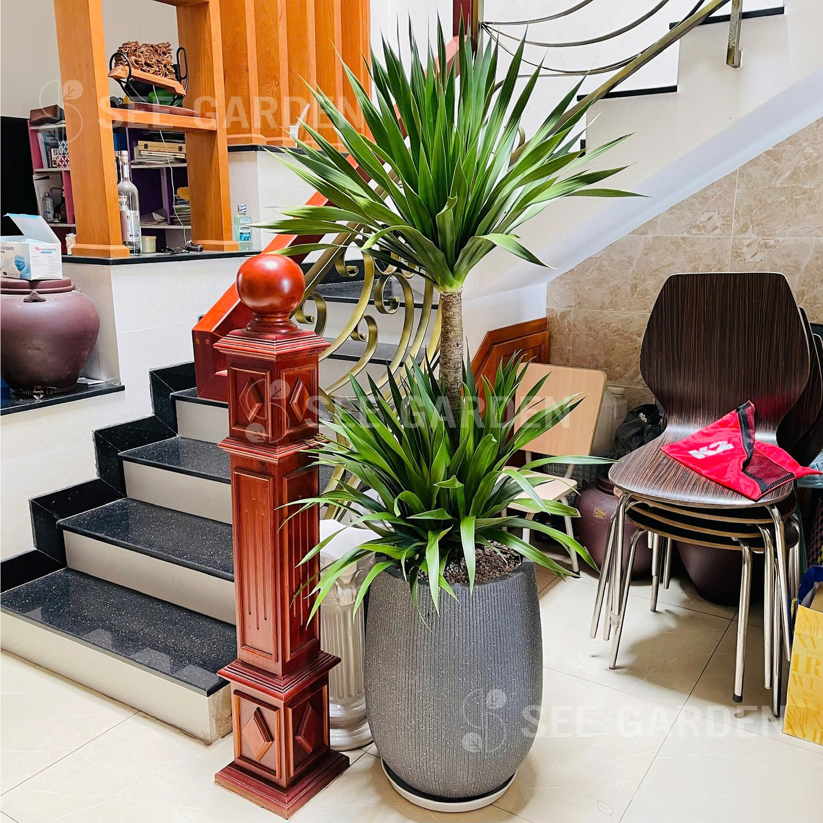 Phát Tài Núi Chậu Kẻ Dọc 2