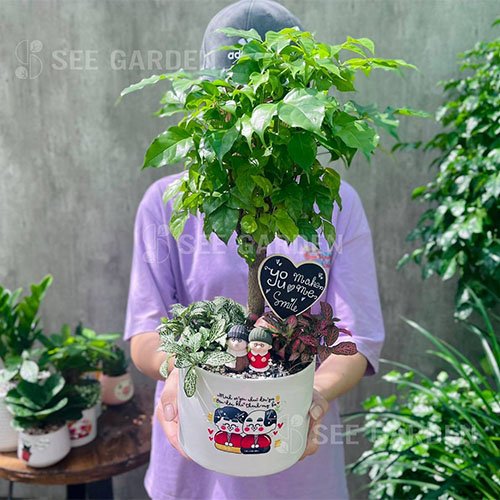 Hạnh Phúc Mix May Mắn Yêu Nhau Đến Già T15 2