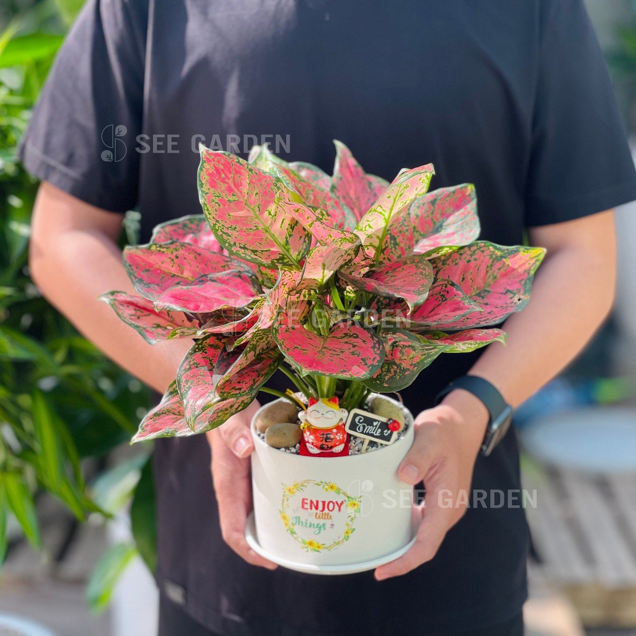Vạn Lộc T15