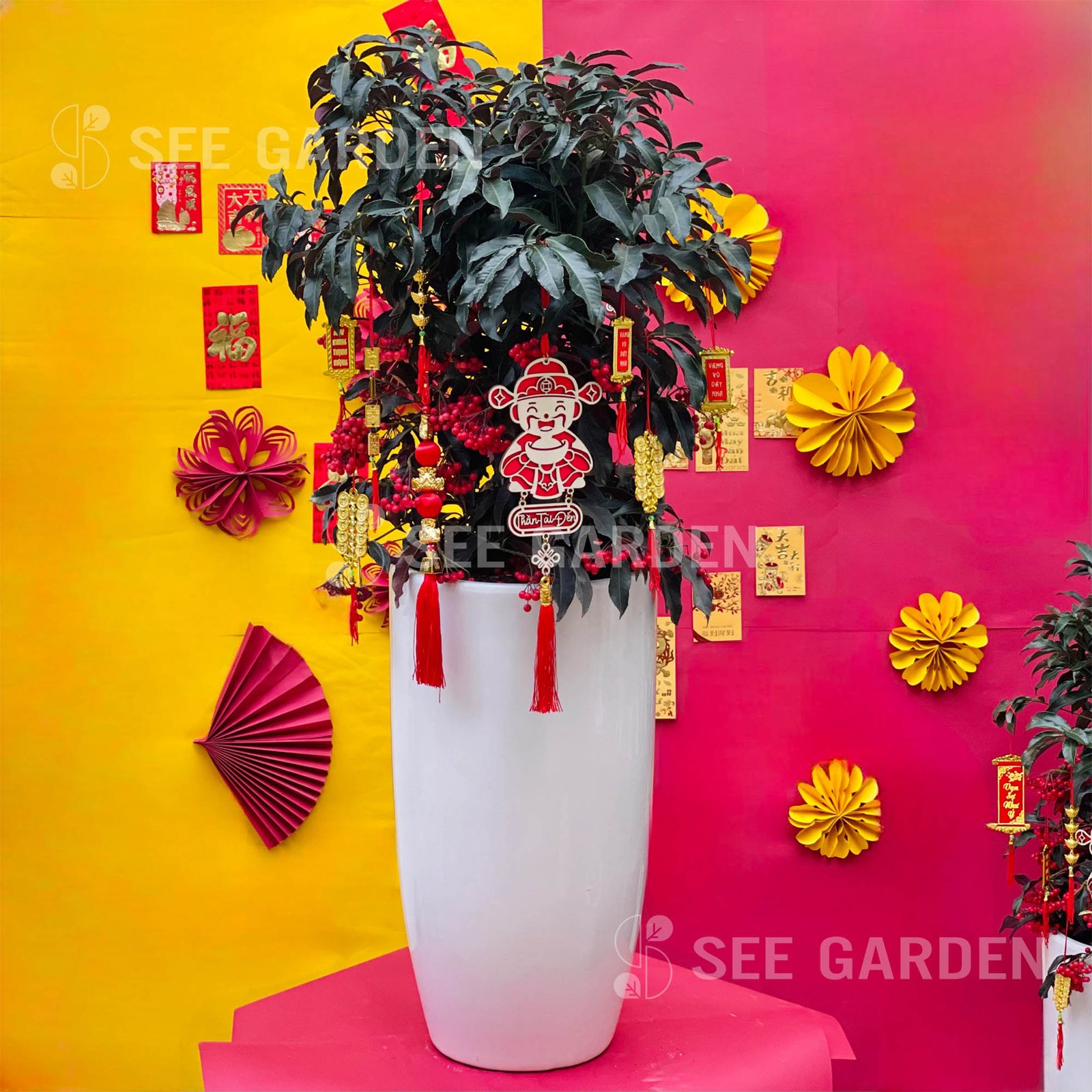 Kim Ngân Lượng Chậu Men LT2