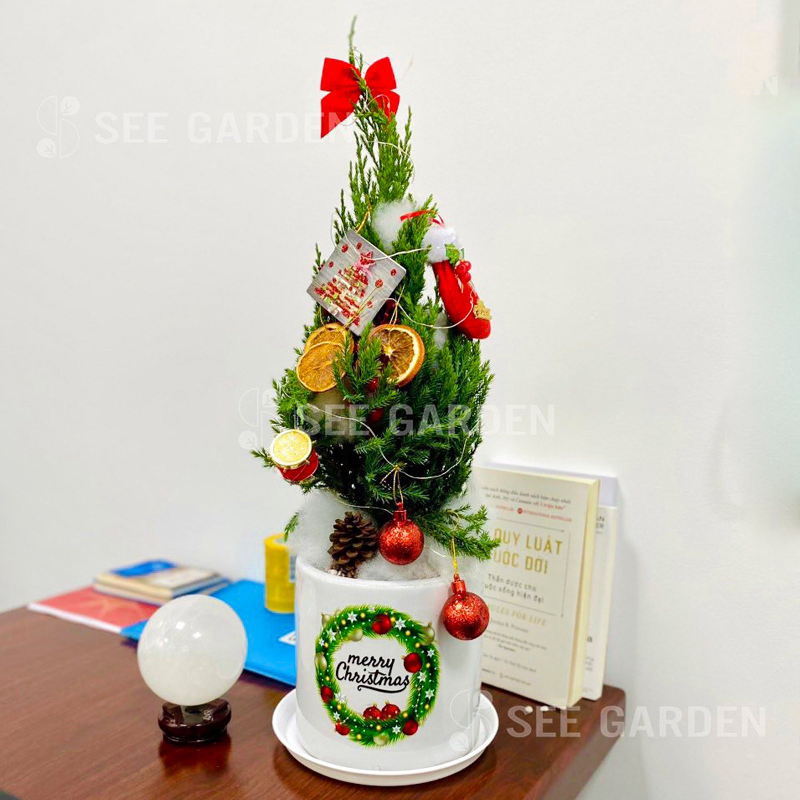 Set tùng cam T17 vòng hoa merry C9