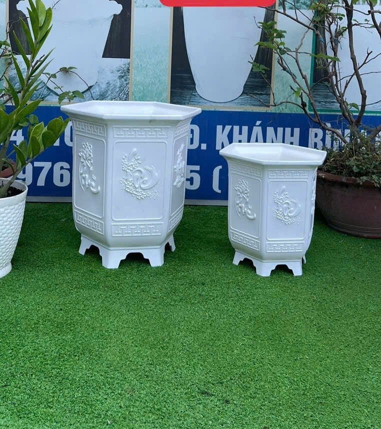 CHẬU NHỰA TRỒNG CÂY LỤC GIÁC PLT QUẬN 9, THỦ ĐỨC, THÀNH PHỐ HỒ CHÍ MINH , Trồng cây cảnh, hoa kiểng và trang trí sân vườn.