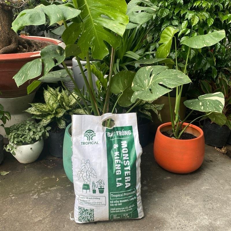Đất trồng kiểng lá Monstera TROPICAL bao 10 lít~5,5