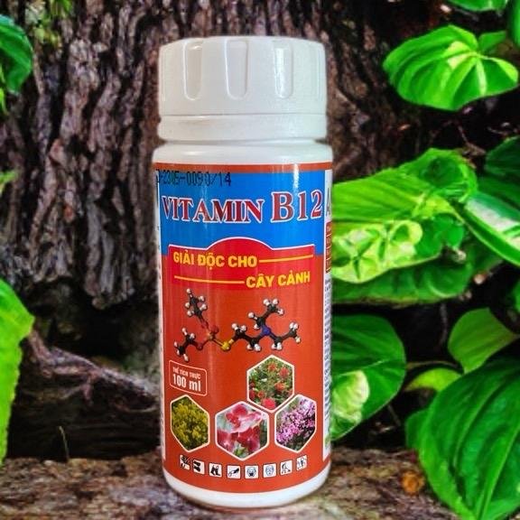 Phân bón giải độc cây vitamin b12 100ml 2