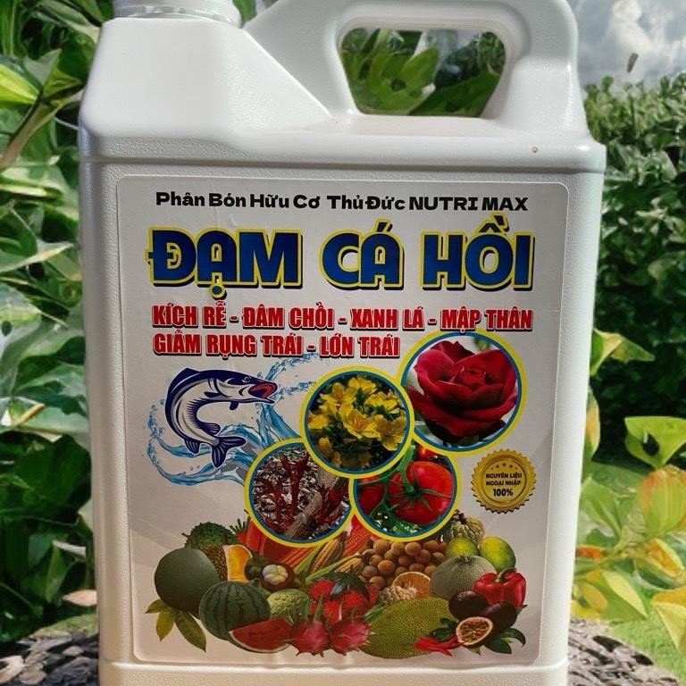 Phân bón hữu cơ Đạm Cá Hồi can 5 lít 3