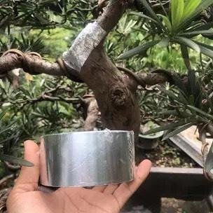 Băng keo nhôm dán cây bảo vệ vết cắt nhanh liền sẹo 25 Mét