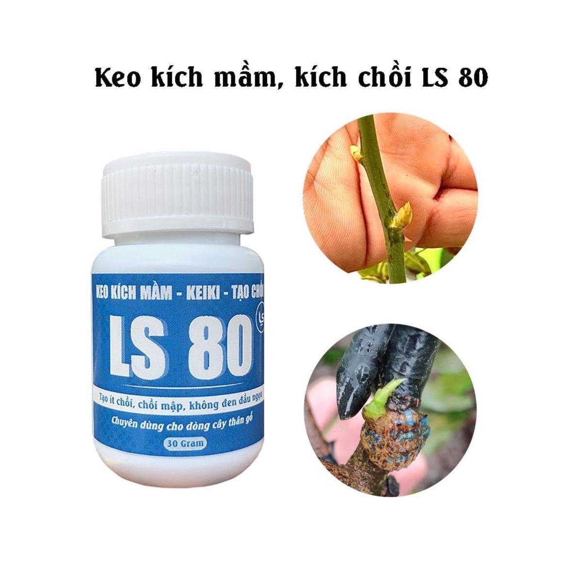 KEO KÍCH CHỒI LS80 hũ 30gam 2