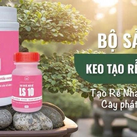Keo tạo rễ keo bôi đầu rễ cây phôi Ls10 tăng hiệu quả chiết cành 3