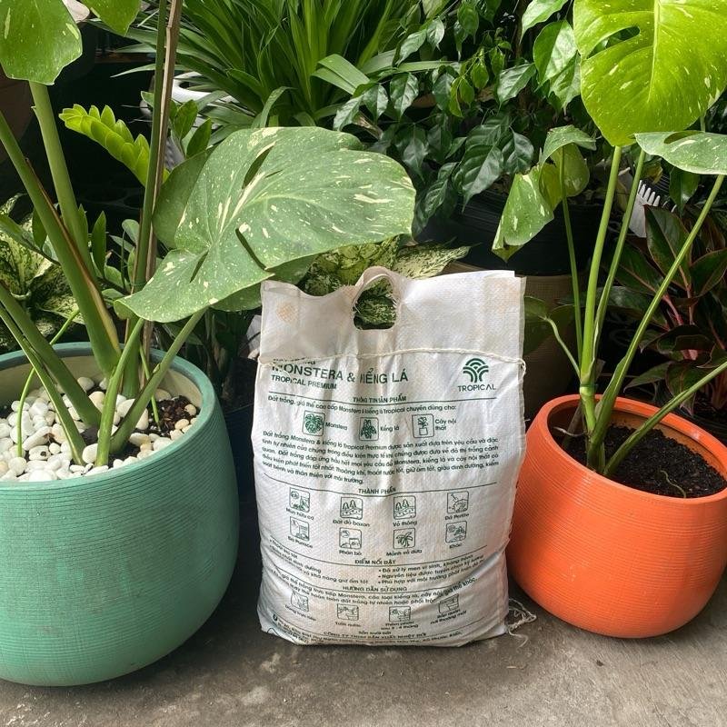 Đất giá thể trồng kiểng lá Tropical 10 lít~5,5kg 3