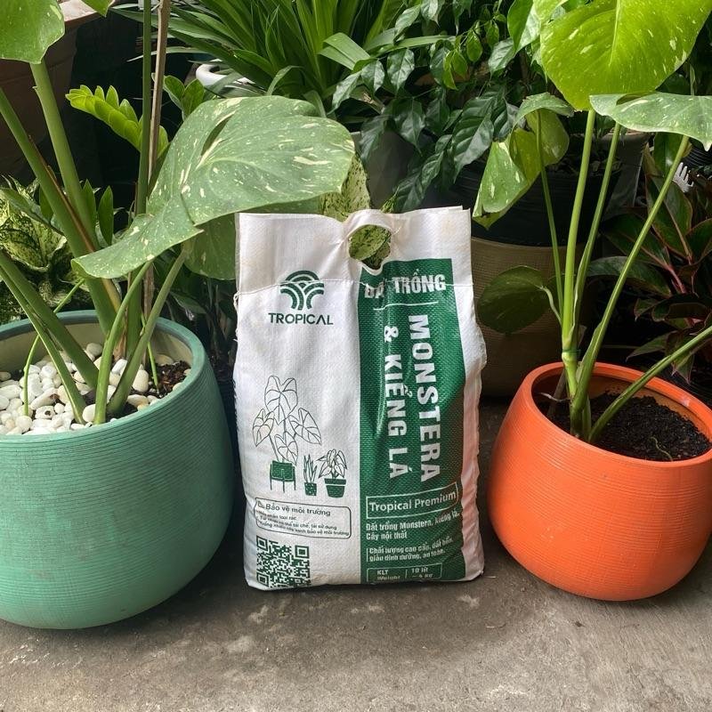 Đất giá thể trồng kiểng lá Tropical 10 lít~5,5kg 2