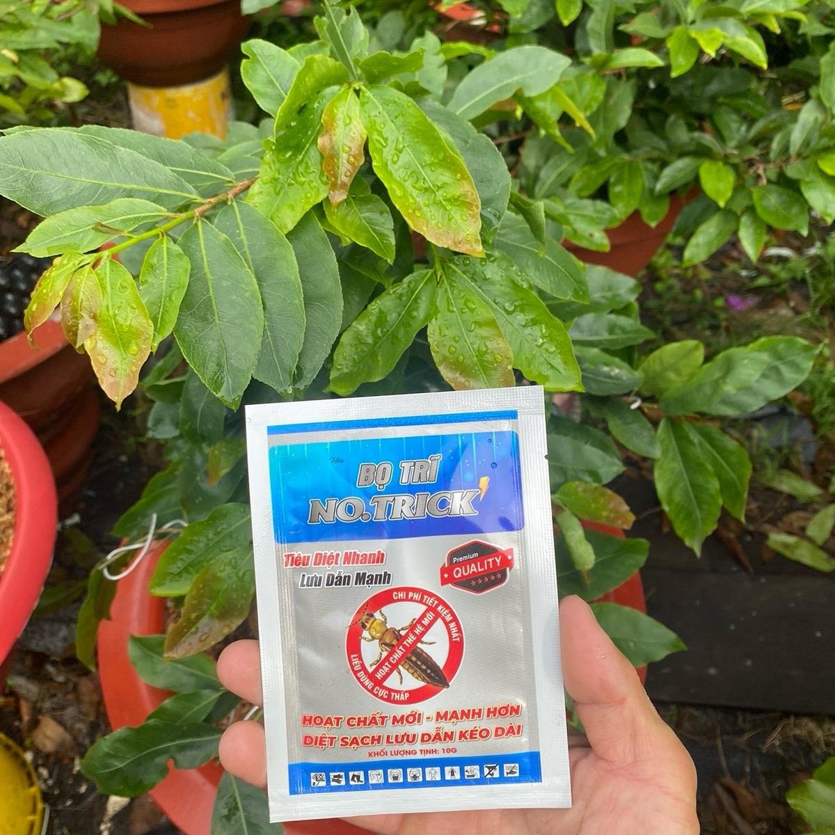 Phân Bọ Trĩ No.TRICK 10gam lưu dẫn mạnh cho cây trồng