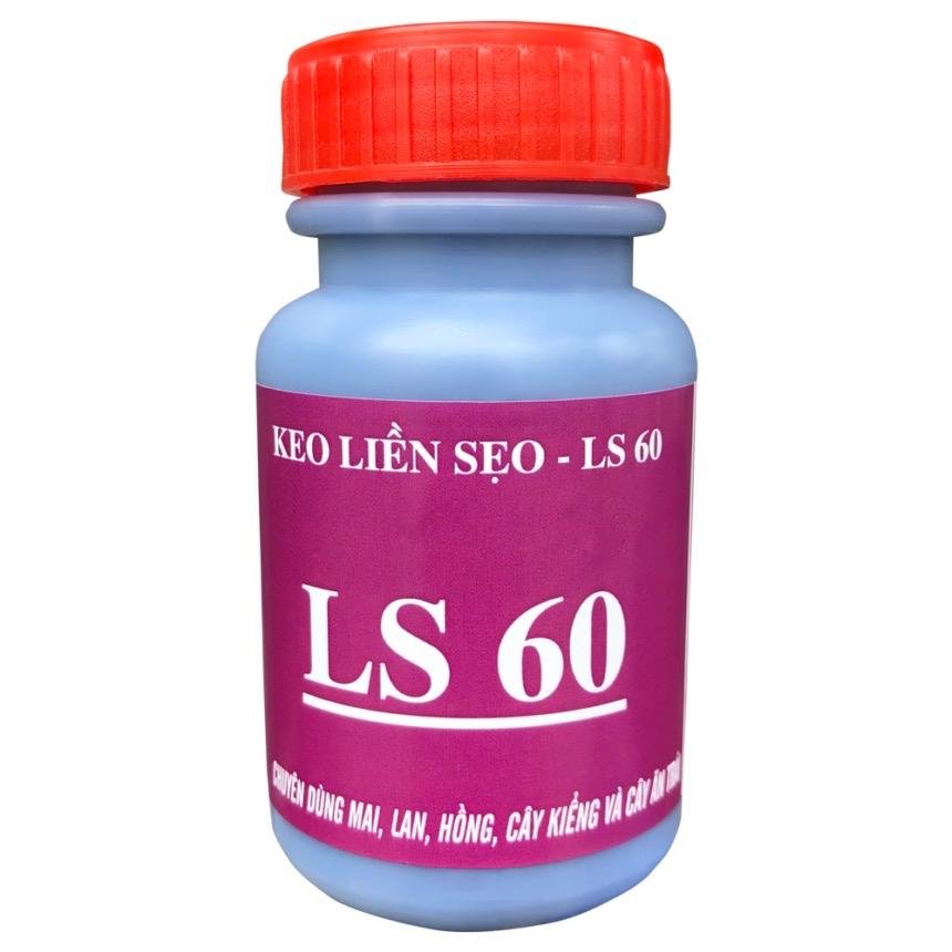 Keo Liền Da Cây MAI HOA KIỂNG LS 60 HŨ 100GAM