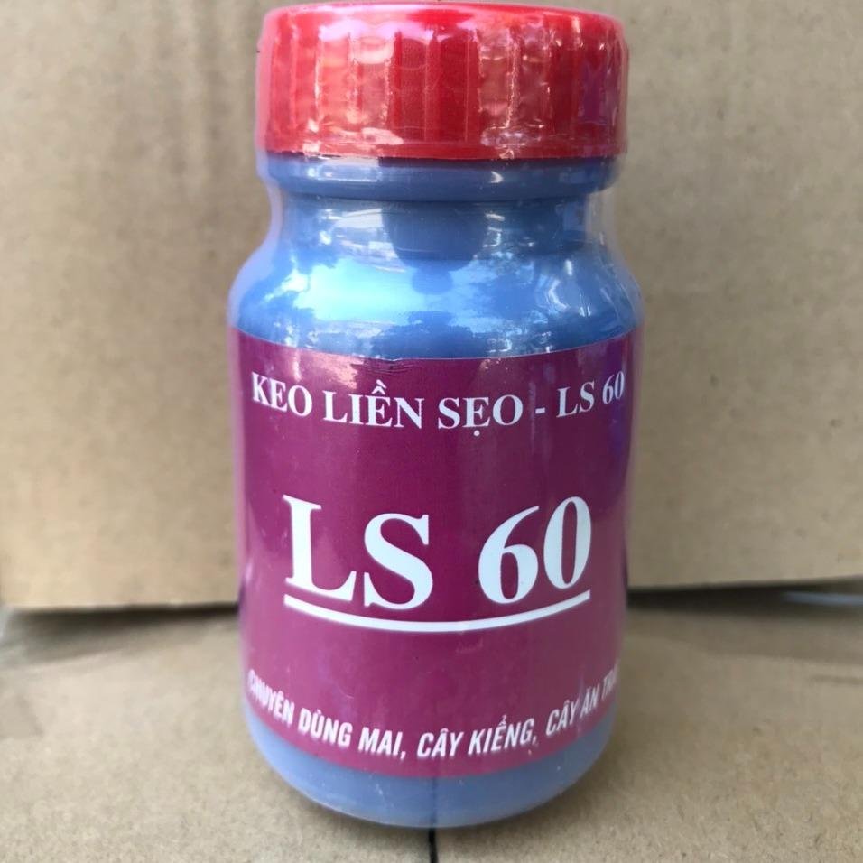 Keo Liền Da Cây MAI HOA KIỂNG LS 60 HŨ 100GAM 2