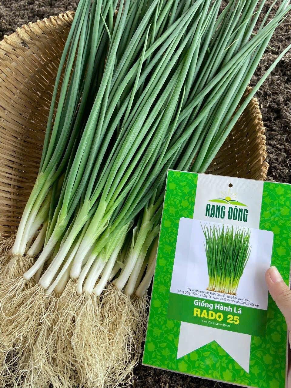 Hạt giống hành lá RADO 25 Gói 2,5 gram 3