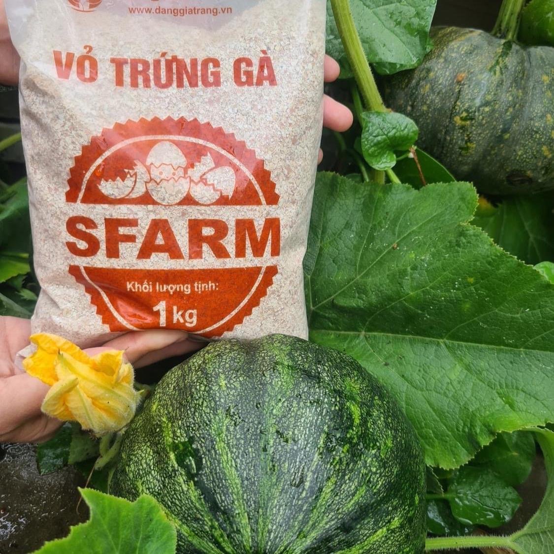Phân bón từ vỏ trứng gà gói 1kg Sfarm đã qua xử lý 2